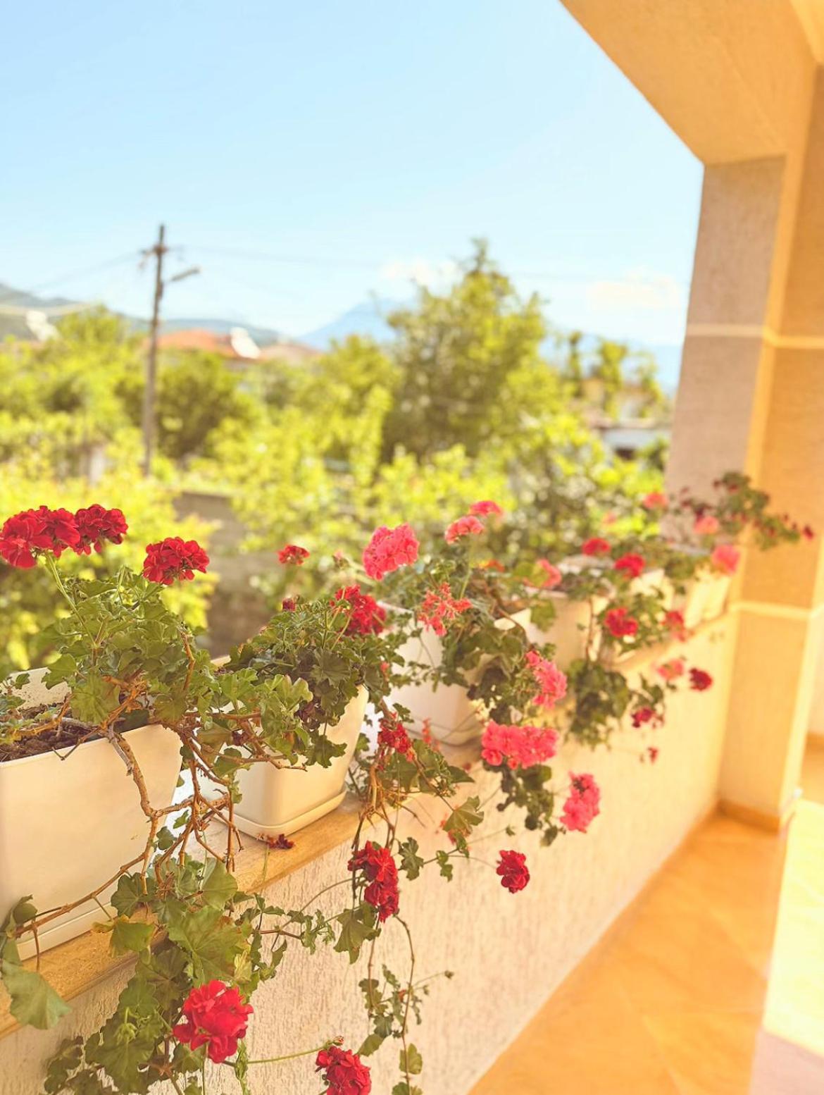 Anel'S Guesthouse Berat Buitenkant foto